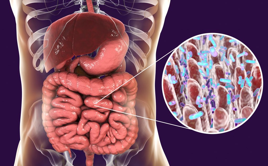 Verstopfung Nach Antibiotika Wie Lange golightness.com