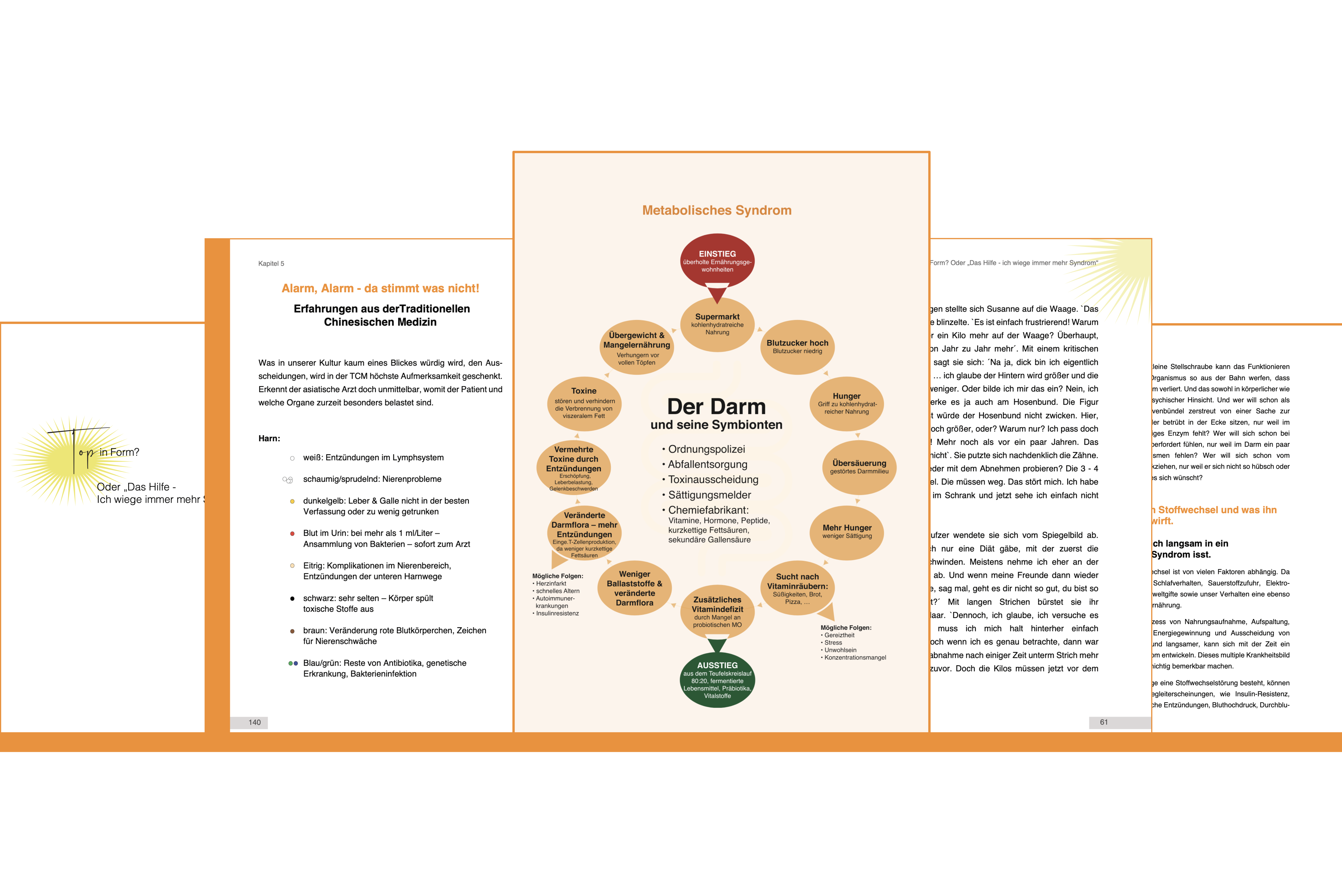 fit-im-darm-top-in-form-buch-einblick-metabolisches-syndrom Einblick ins Buch Fit im Darm – Top in Form mit Schaubild zum metabolischen Syndrom, Darm, Stoffwechsel und Ernährung