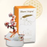 share-original-fermentierte-frucht-110g
