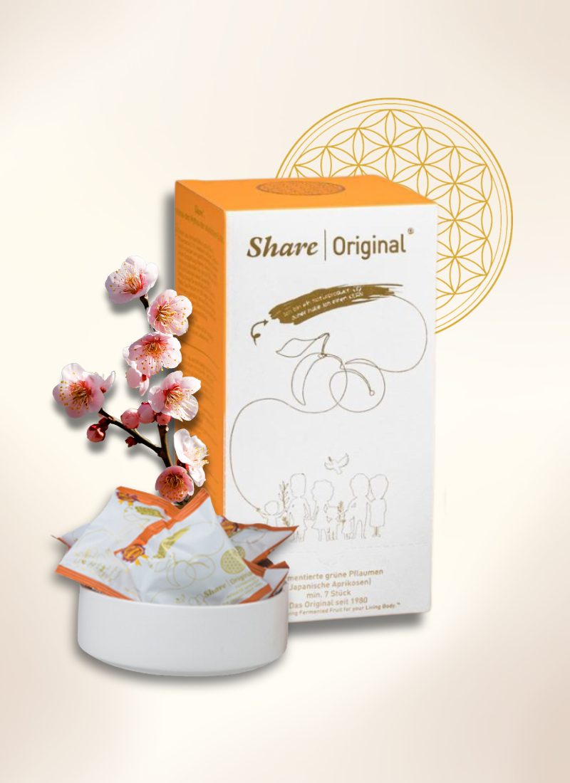 share-original-fermentierte-frucht-110g
